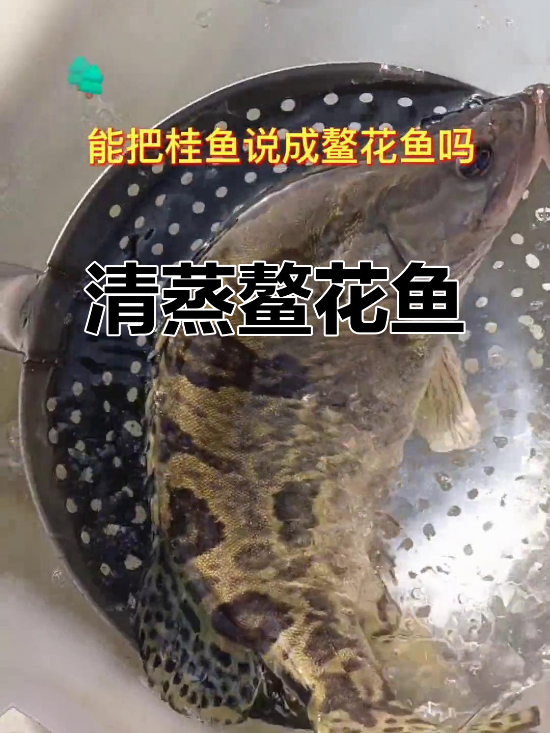 黑龙江乌苏里江的鳌花鱼,清蒸红烧都美味