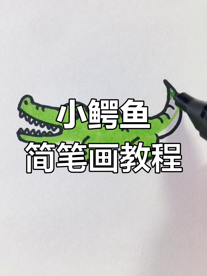 轻松学画可爱小鳄鱼,简单步骤教你画出栩栩如生的形象