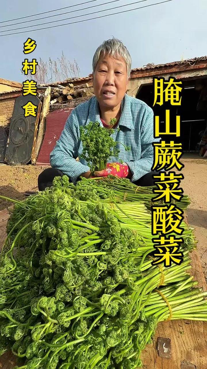 今天跟老妈进山采二茬蕨菜，腌酸菜配面条酸辣好吃