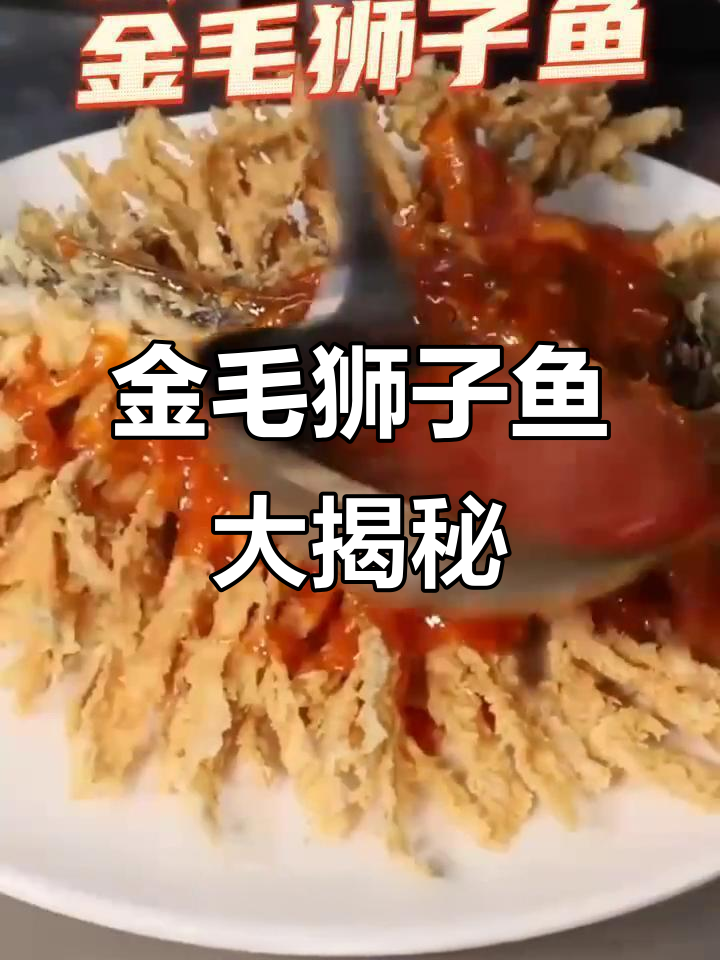 石家庄金毛狮子鱼,探秘美食新风味