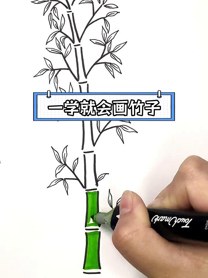 简单几步画出竹子,轻松学会简笔画