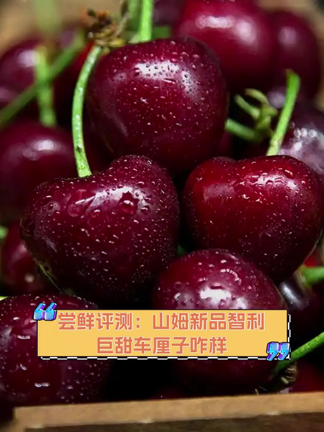 尝鲜评测:山姆新品智利巨甜车厘子咋样