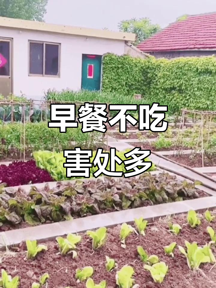 不吃早餐的五大危害,看看你中了几条?