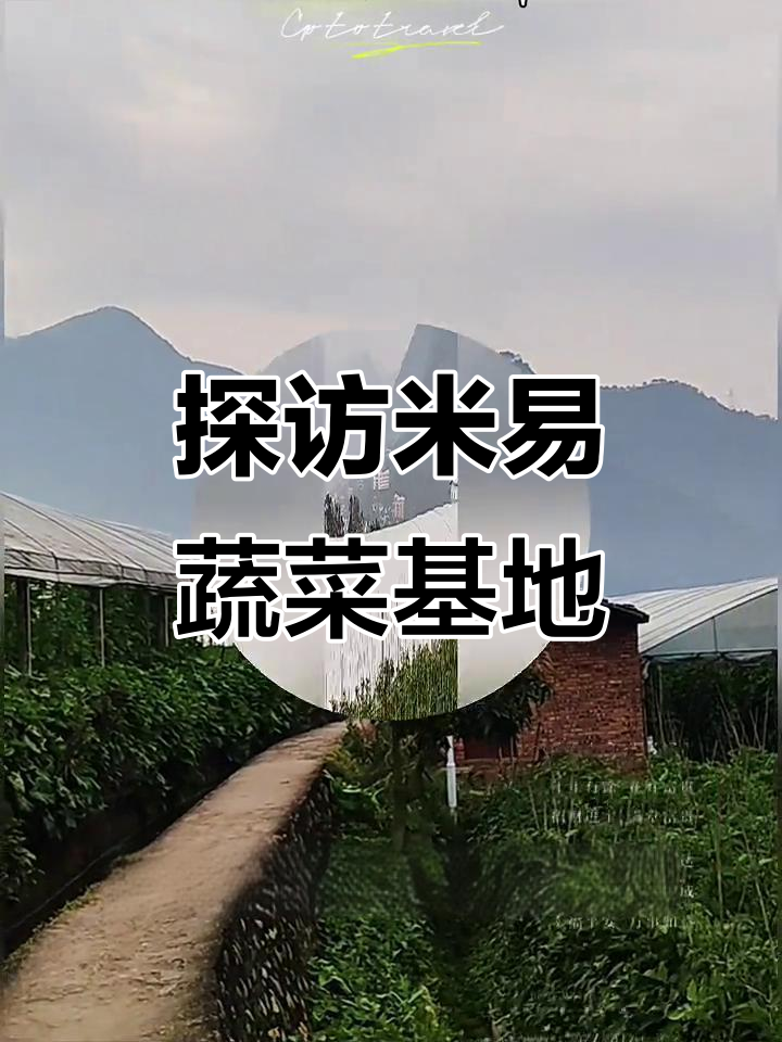 米易蔬菜大棚:绿色生态种植基地揭秘