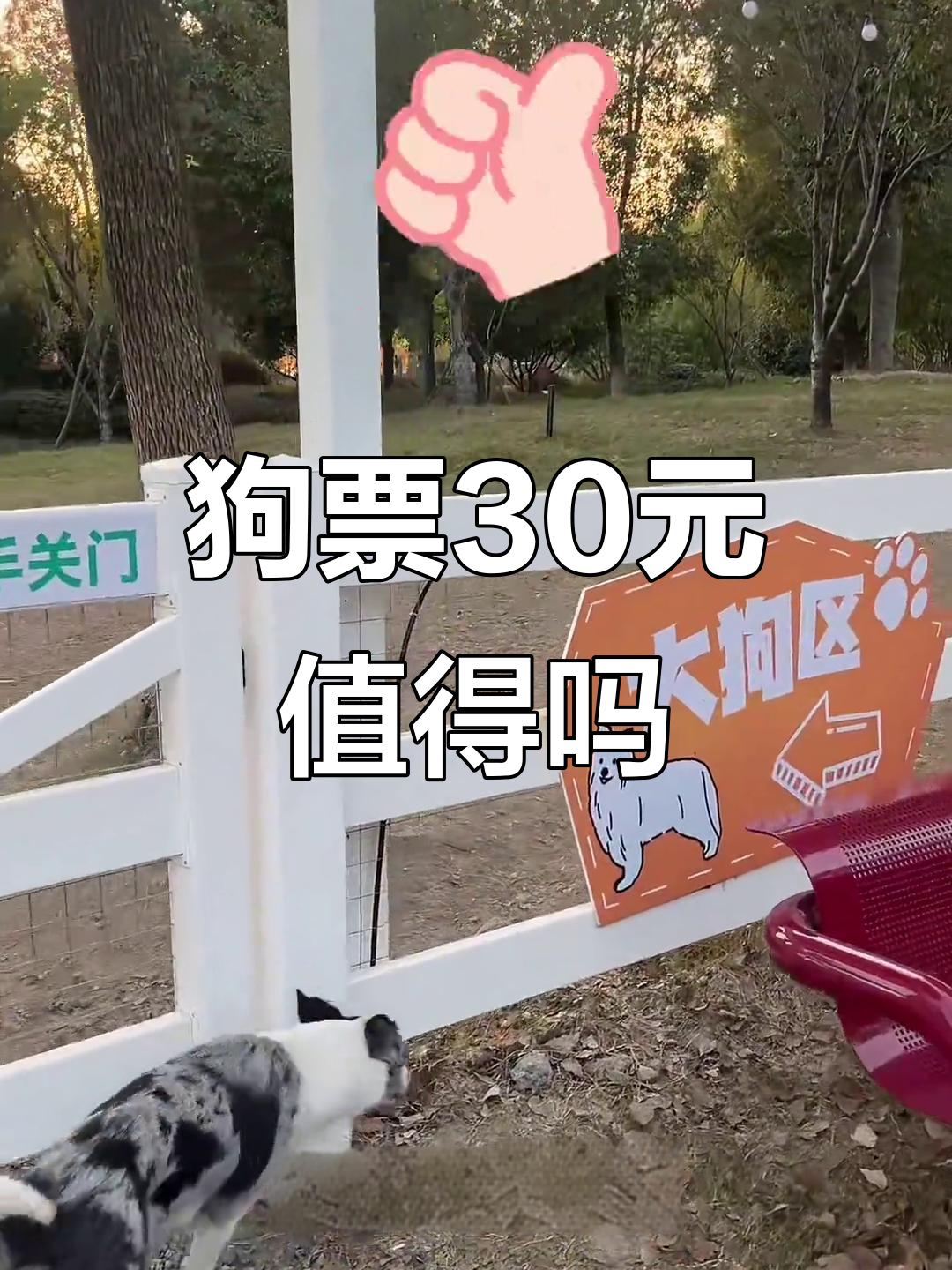 嘉兴银杏天鹅湖：狗狗门票30元，值不值？