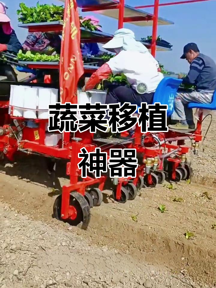 高效移栽机，轻松种植30亩蔬菜，省时又省力