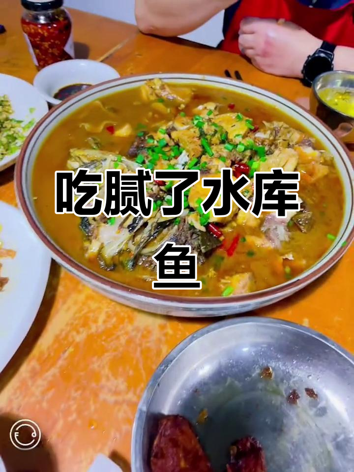 天天吃鱼,真是够了!看到就想吐,快换个口味吧!