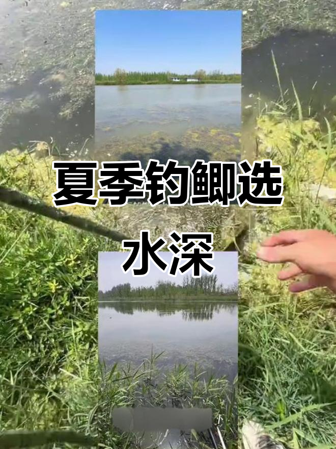 初夏钓鲫鱼水深选择技巧,实战分享