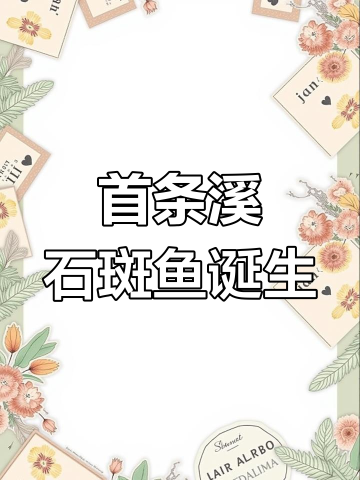 成功繁殖溪石斑鱼,背后的艰辛只有自己知道