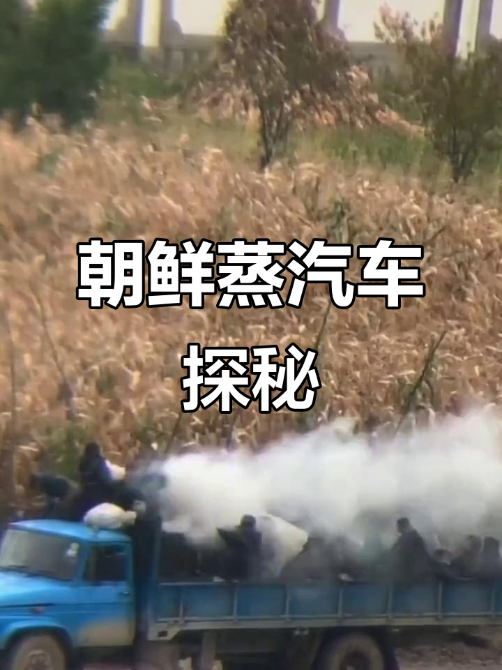 朝鲜蒸汽机车大揭秘:烧柴司机与方向司机的默契配合