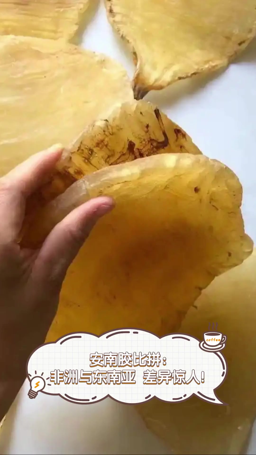 安南胶比拼:非洲与东南亚,差异惊人!