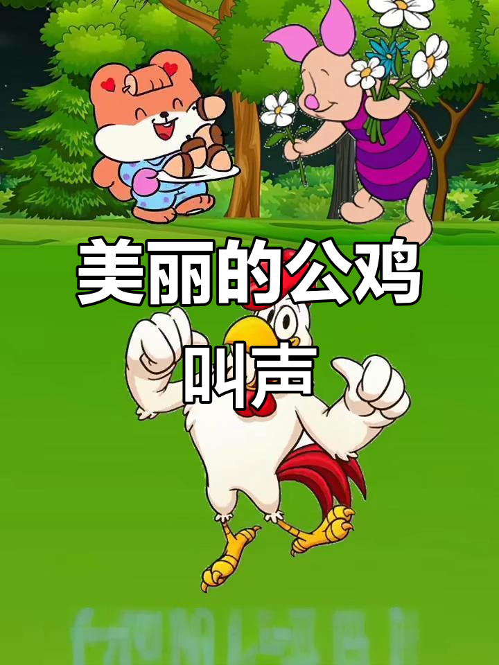 公鸡清晨鸣叫,带来好运的美丽歌声