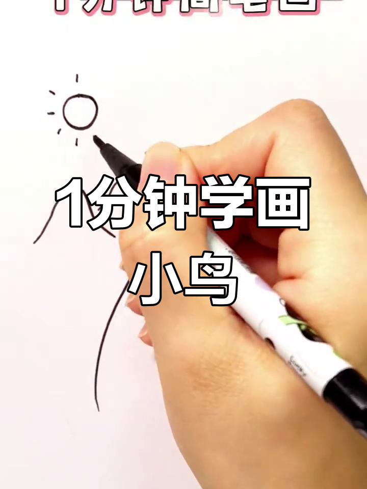 一分钟学会简笔画,轻松画出小鸟和太阳