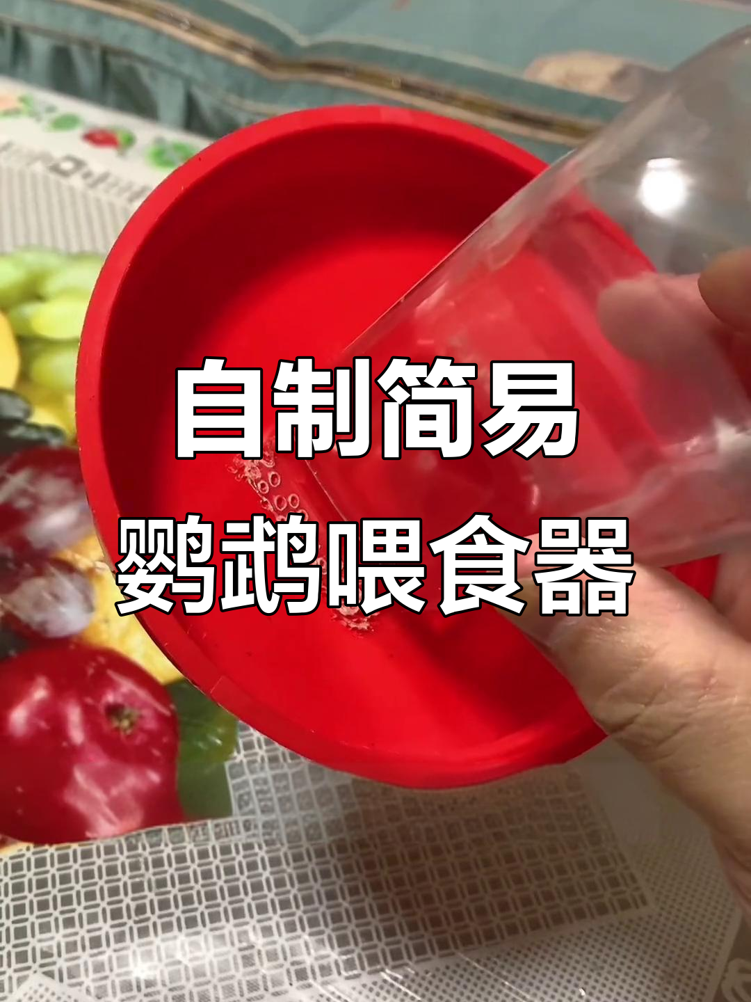 用废料DIY鹦鹉喂食器,简单又实用