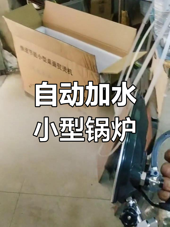 节能型小锅炉,快速加热蒸汽