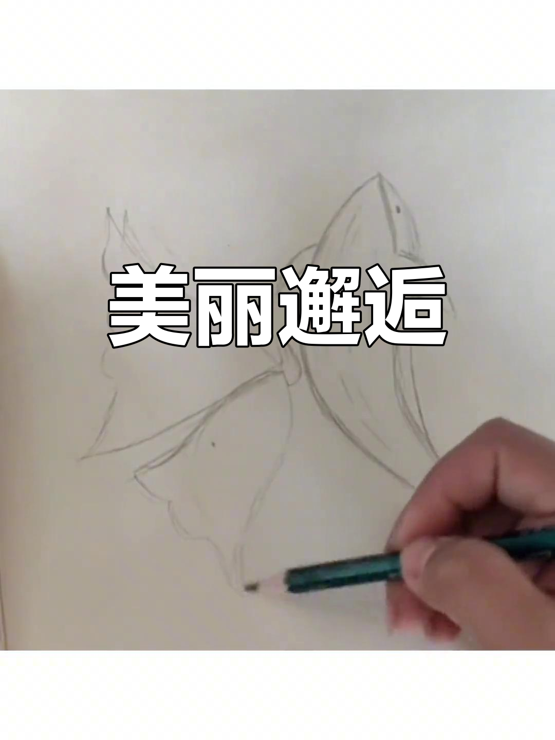 鲸鱼与蝴蝶的偶然相遇,成就了它生命中最美丽的瞬间