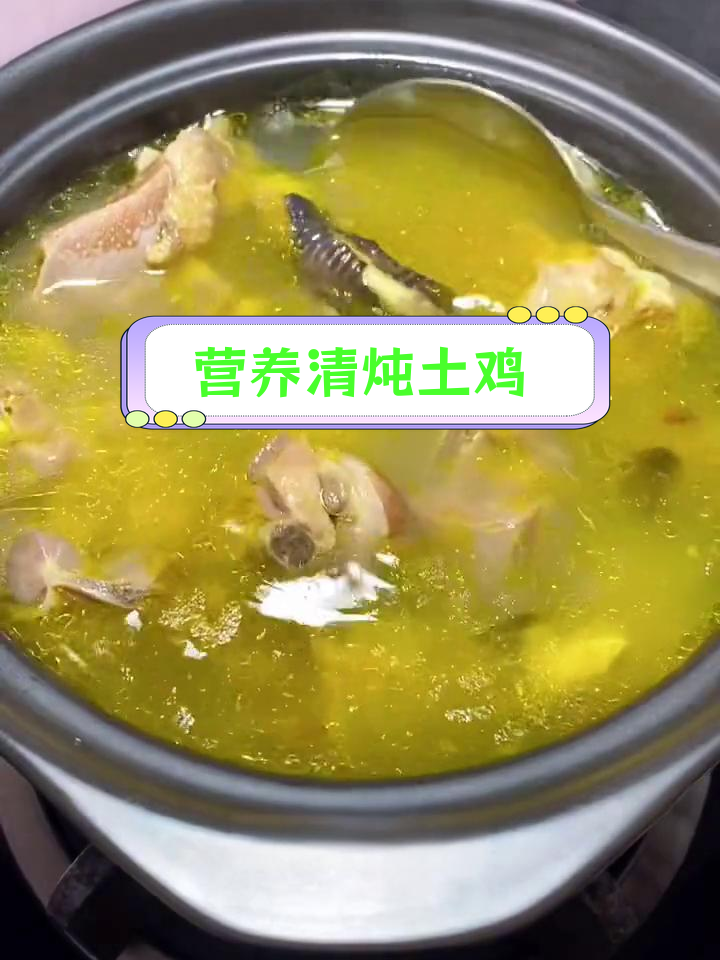清炖土鸡的家常做法,营养不流失
