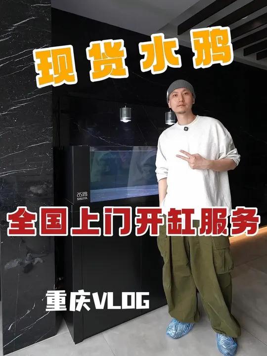 水鸦鱼缸|全国上门开缸服务「重庆」