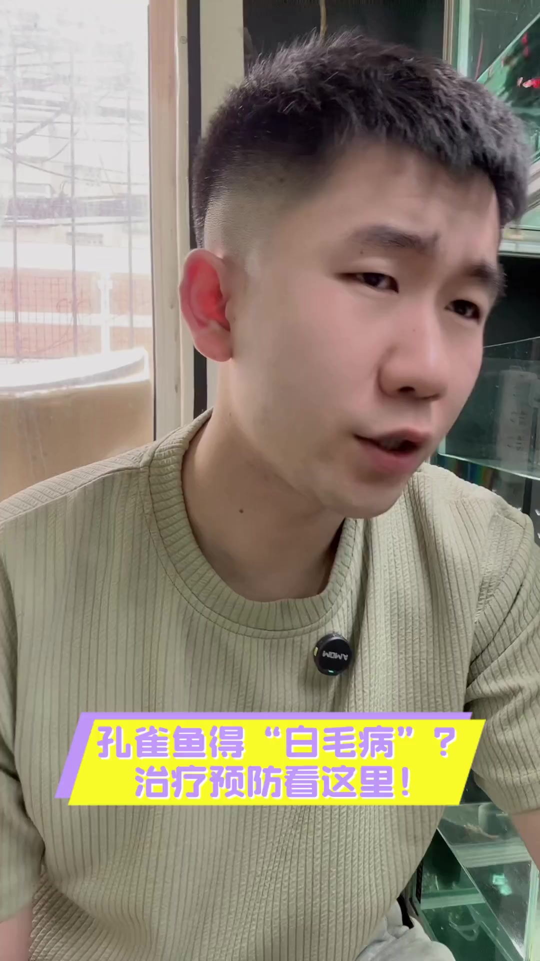 孔雀鱼得“白毛病”?治疗预防看这里!