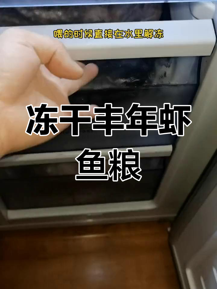 冰冻丰年虾鱼粮,快递靠谱必囤!