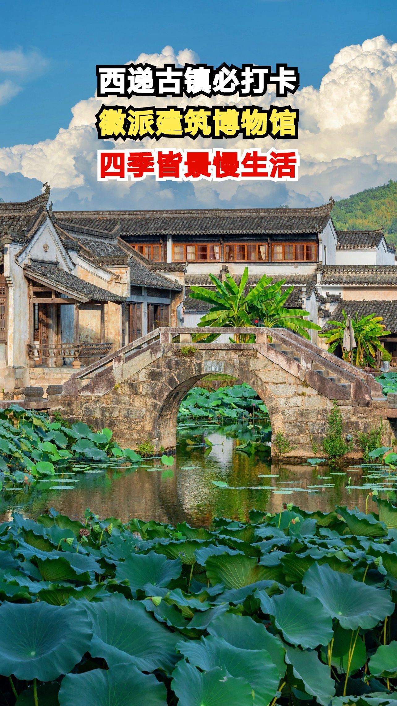 穿越明清古韵,西递古镇的徽派建筑与慢生活等你来体验