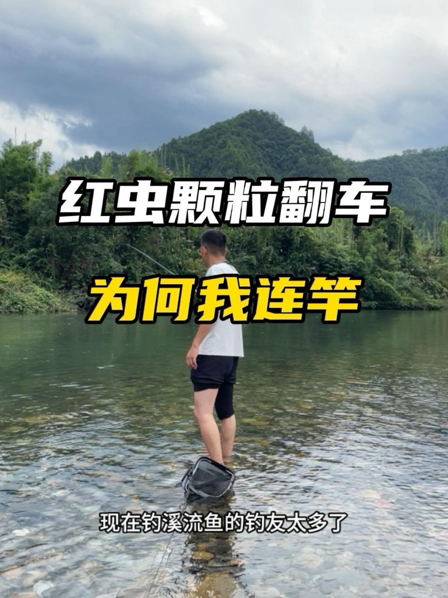 新款的红虫颗粒真的翻车了吗?溪流钓 野钓 钓鱼技巧 溪流马口 天网红虫蚯蚓颗粒