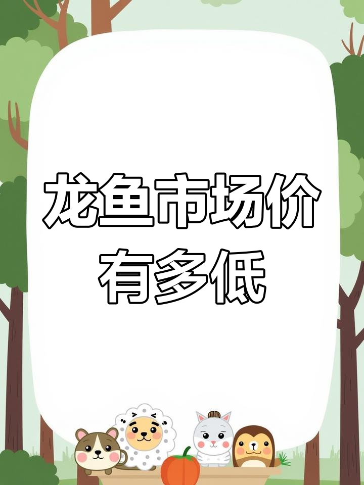 龙鱼价格大揭秘:这些观赏鱼竟然这么便宜!