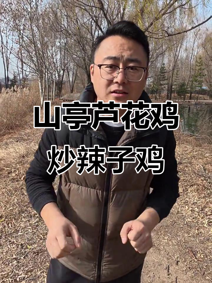 滕州山亭散养芦花鸡,辣子鸡美味新选择