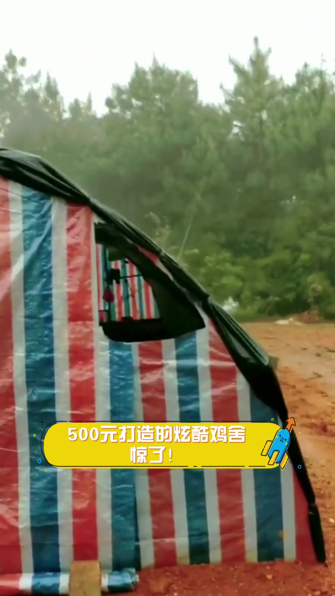 500元打造的炫酷鸡舍,惊了!