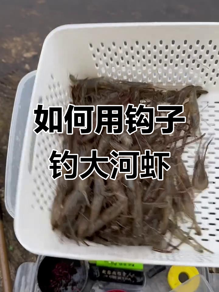 河虾钓法全揭秘,选对位置轻松捕捞