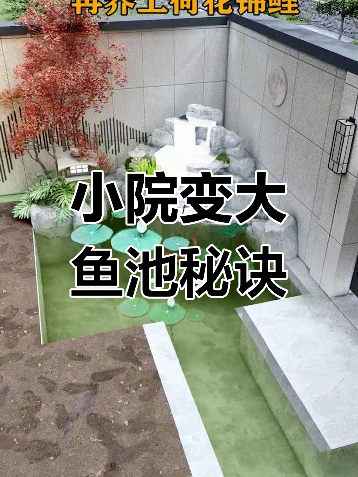 小庭院也能打造大鱼池,巧妙设计让空间翻倍