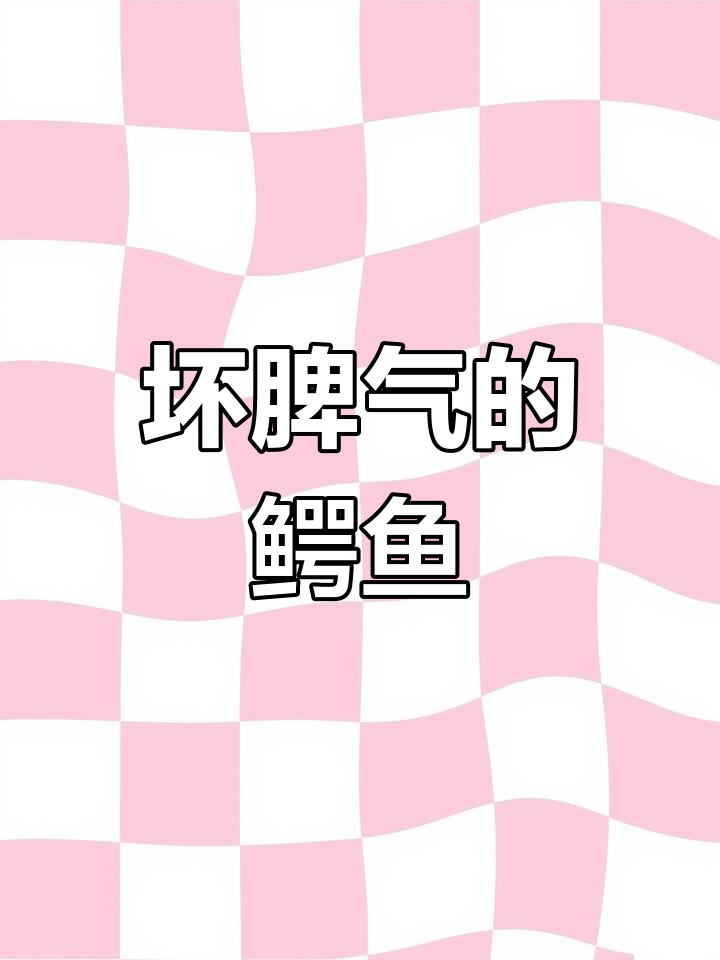 鳄鱼脾气暴躁,小鸟飞来让它安静下来