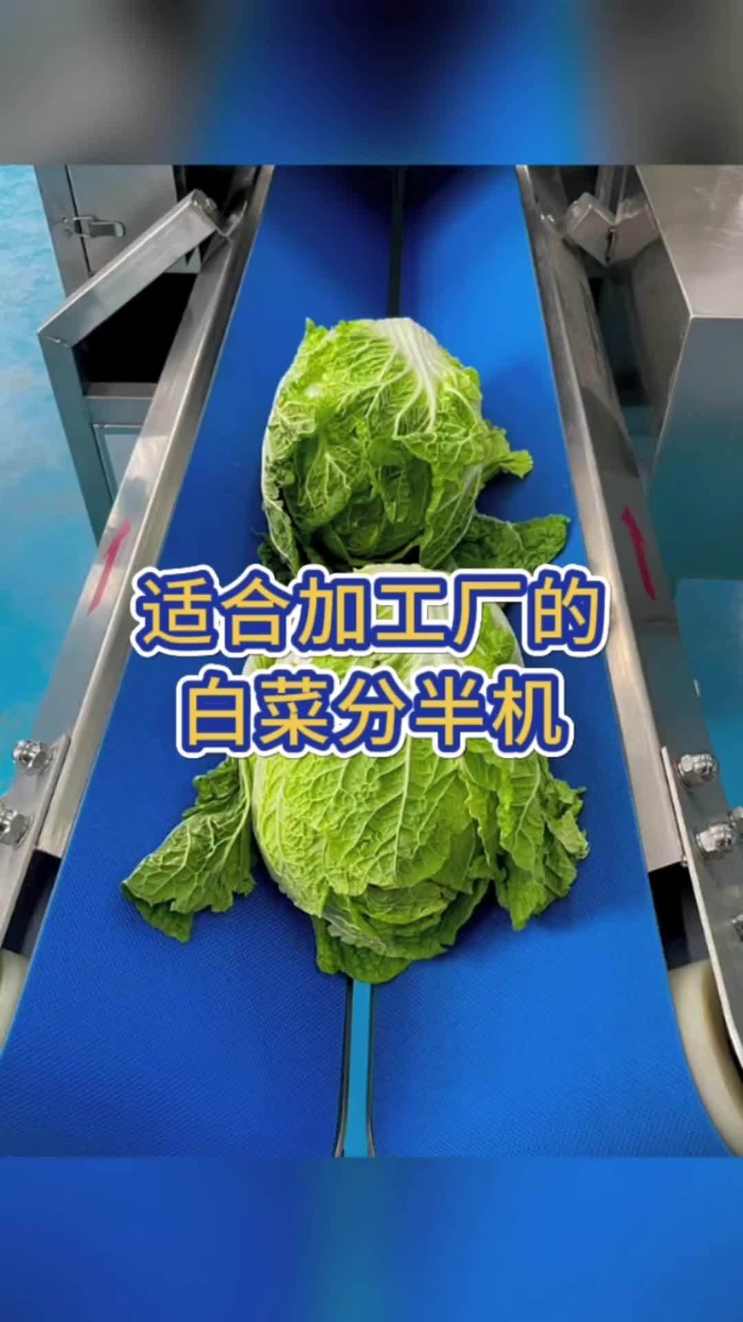 适合加工厂使用的白菜分半机冬瓜分半 白菜分半机 冬瓜分半机 分半机 蔬菜加工设备 食品机械