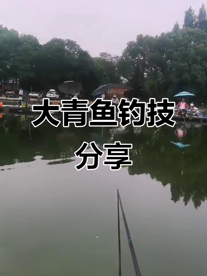 无限回锅大青鱼钓法揭秘,轻松掌握滑口技巧