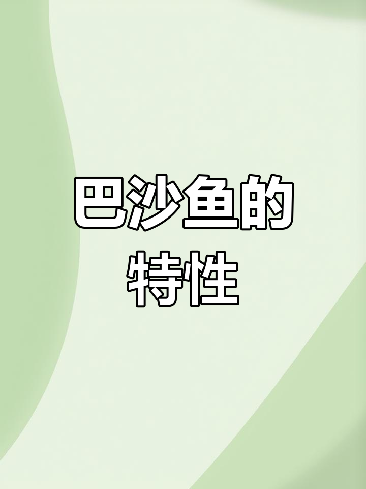 湄公河特产巴沙鱼