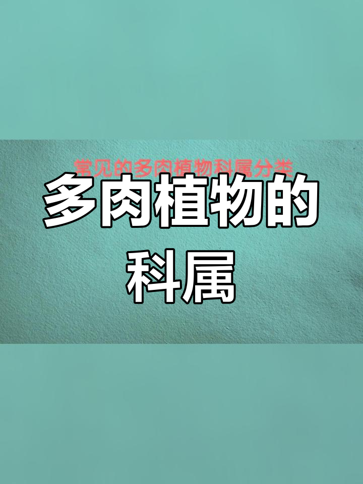 多肉植物科属分类详解,22个科的分布与特点