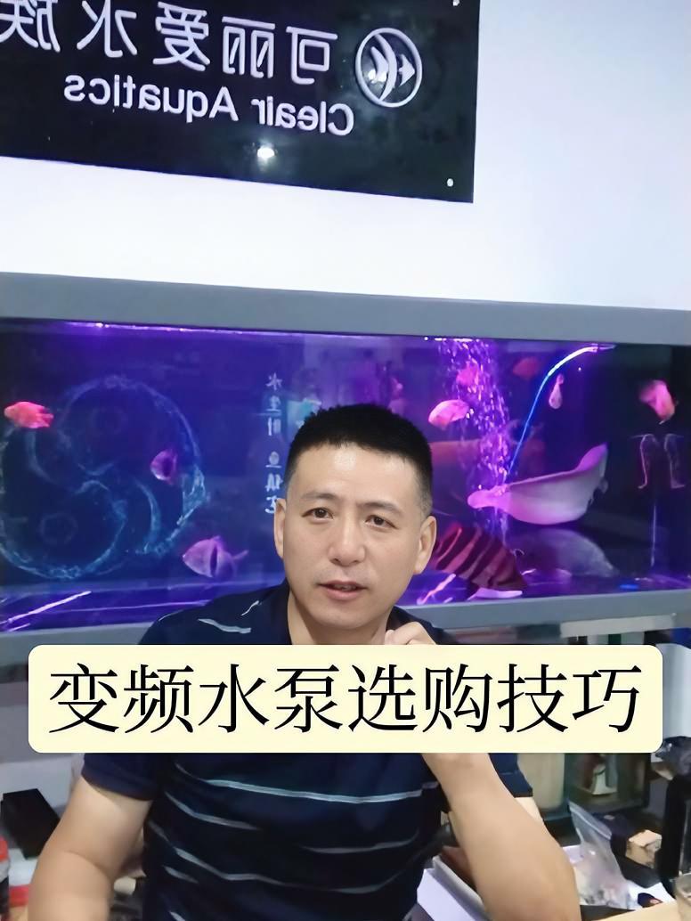 鱼缸变频水泵怎么选,注意三点别选错 热点 养鱼日记 杨凌养鱼达人