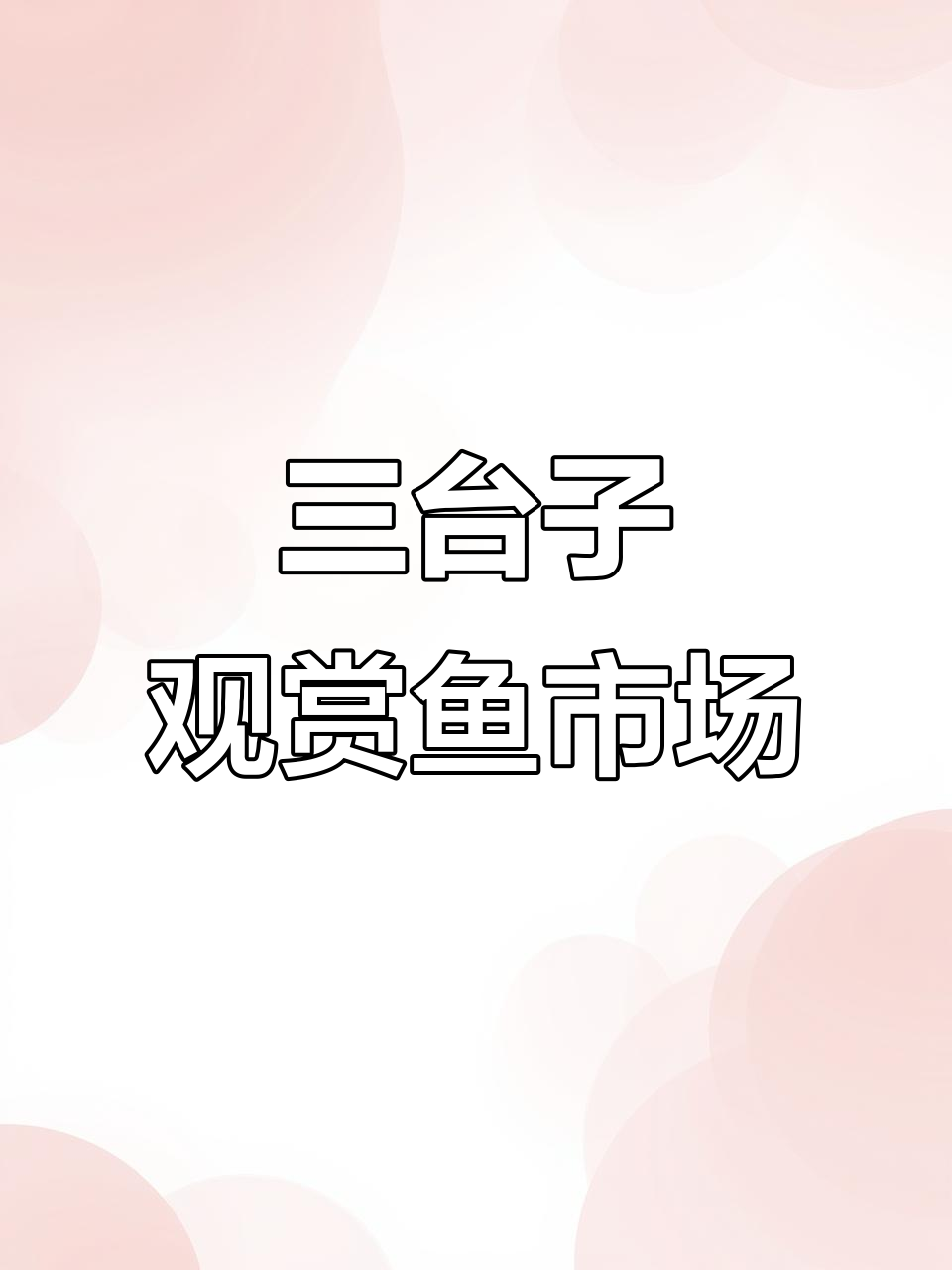 鞍山三台子观赏鱼市场:批发零售,全国发货