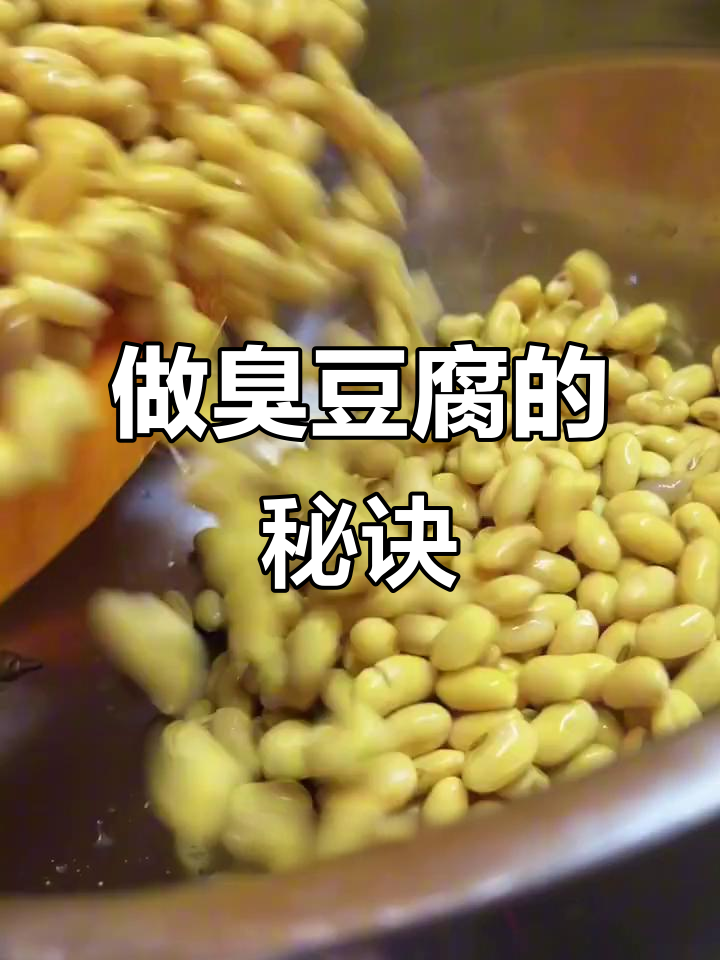 自制臭豆腐全流程,手工切炸外酥里嫩