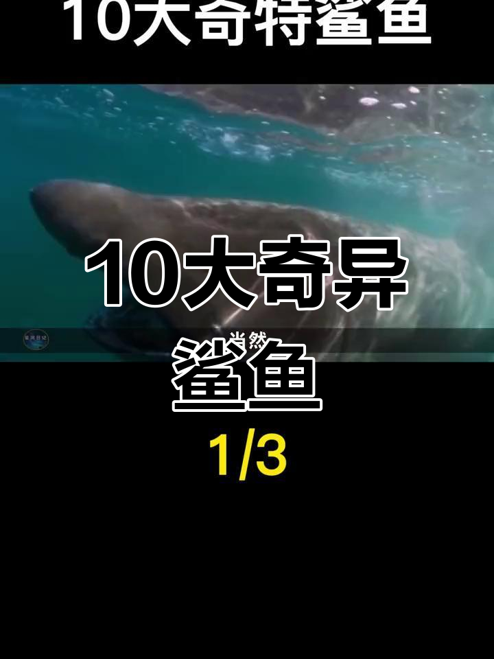 揭秘海洋十大最奇特鲨鱼,看看你认识几种?