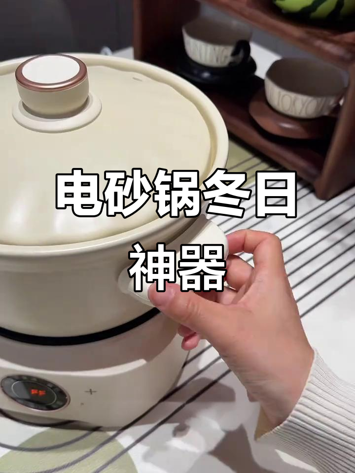 冬季必备砂锅,炖菜无忧,省心又实用!