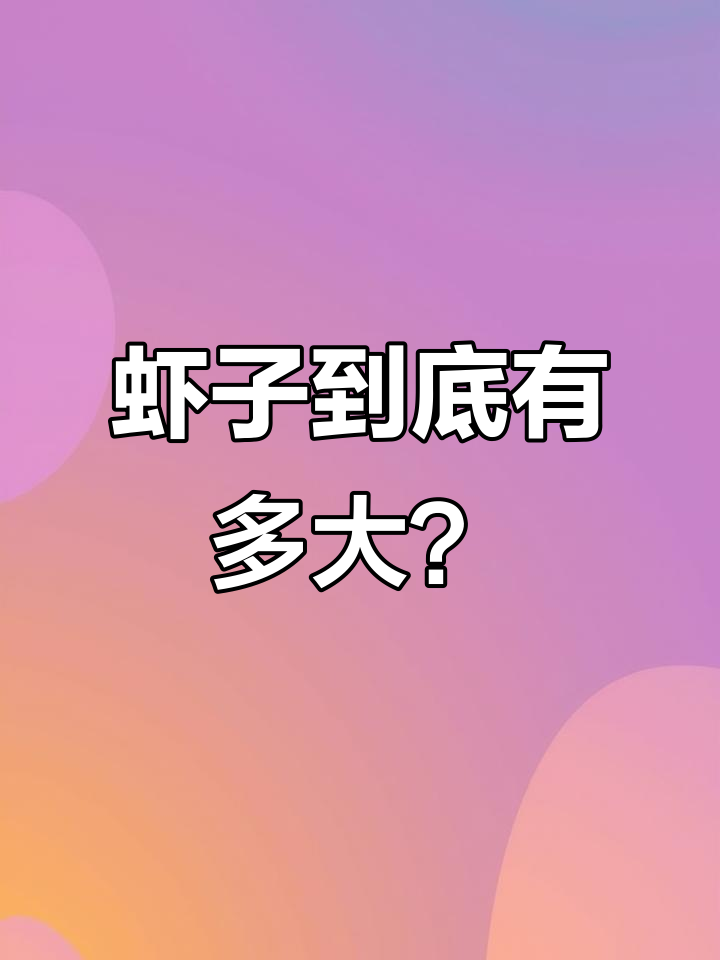 虾子大小不一,但绝对不小!称重实测告诉你真相