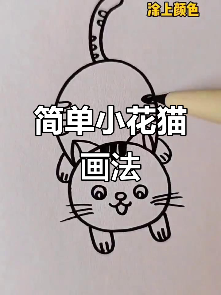 小花猫简笔画,轻松学会可爱橘色猫咪