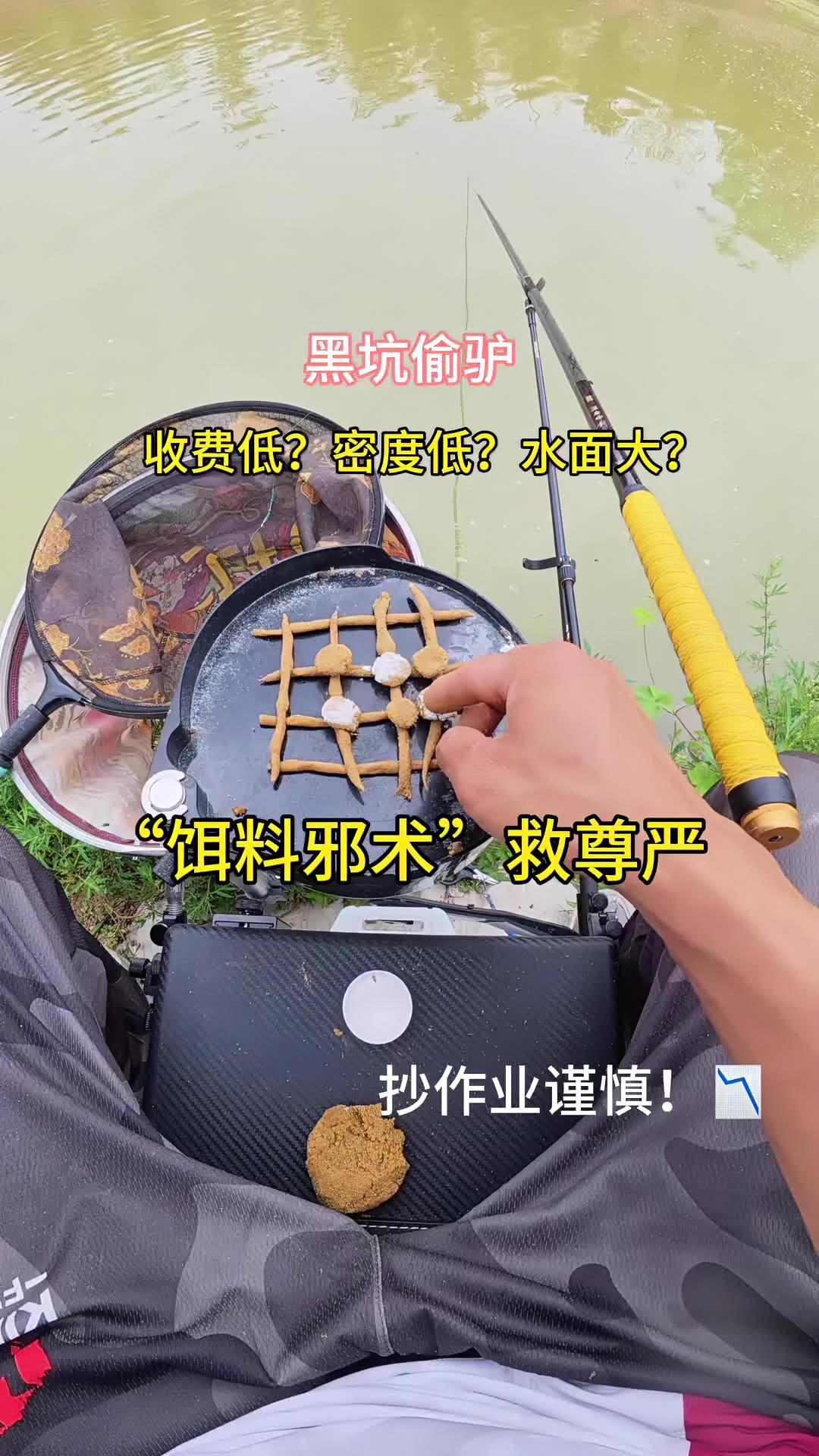 水面比鱼塘大的黑坑怎么玩？60票靠“饵料邪术”钓2条救尊严！建议反复学习抄作业！钓鱼 黑坑