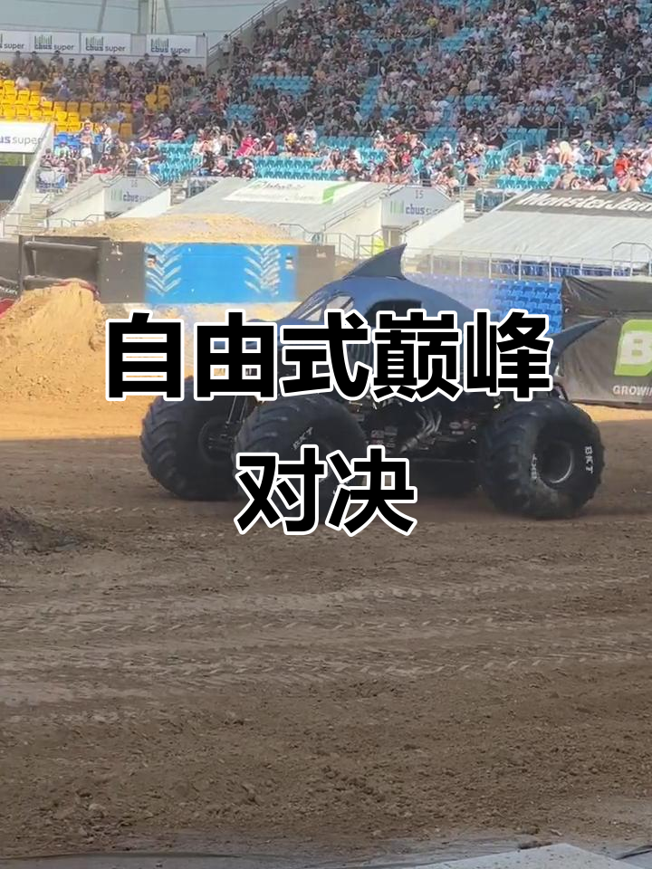 大鲨鱼震撼2分钟自由式表演,精彩绝伦!