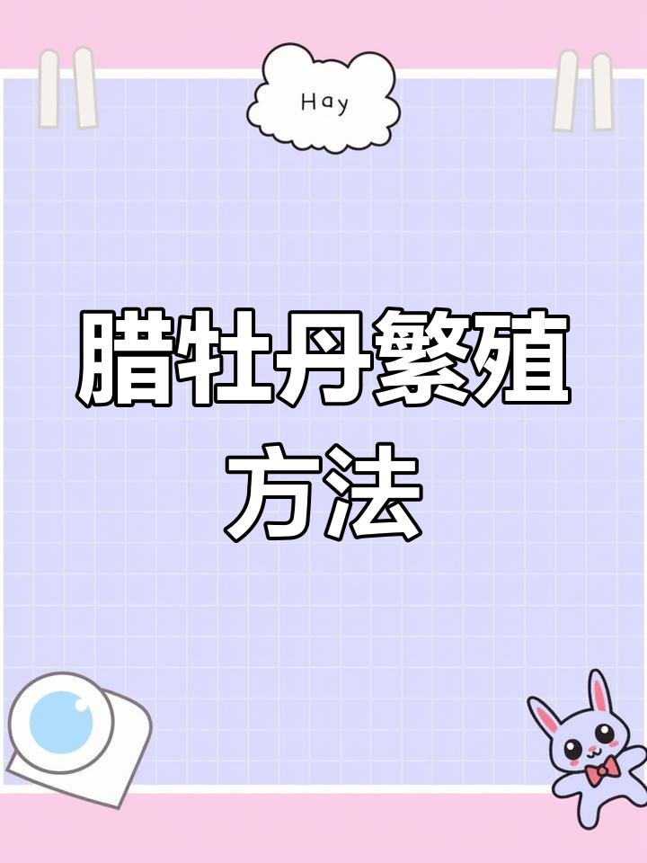 腊牡丹多肉繁殖技巧:枝插与叶插全攻略