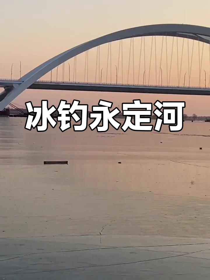 永定河夜钓:池沼小公鱼大作战