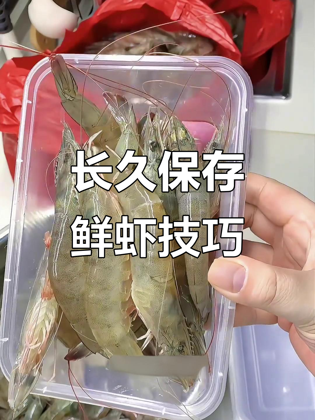 天津存虾秘籍,教你如何让大虾保鲜两年