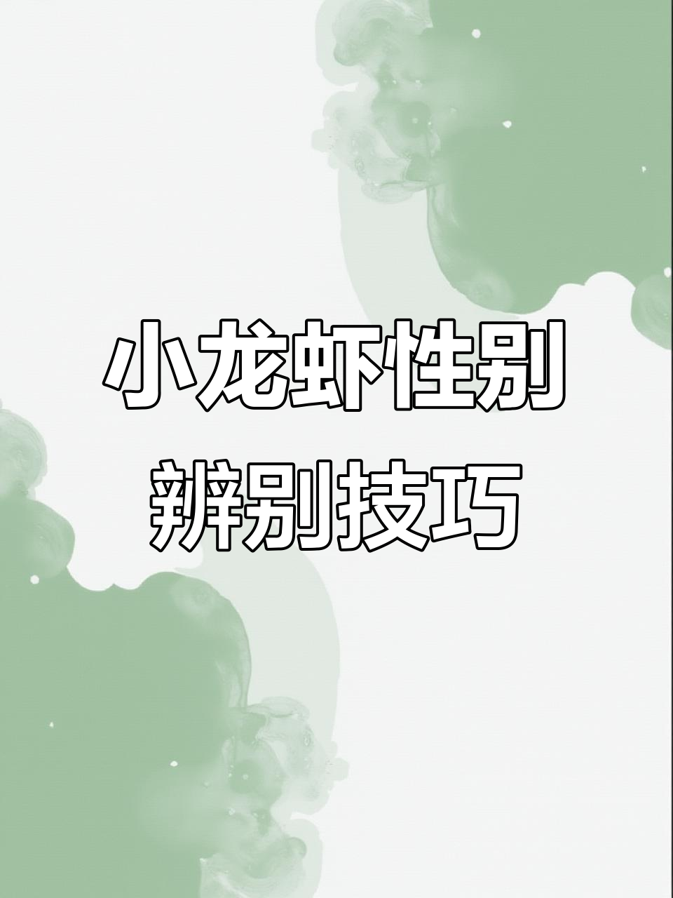 小龙虾公母分辨，看这里就能搞定！
