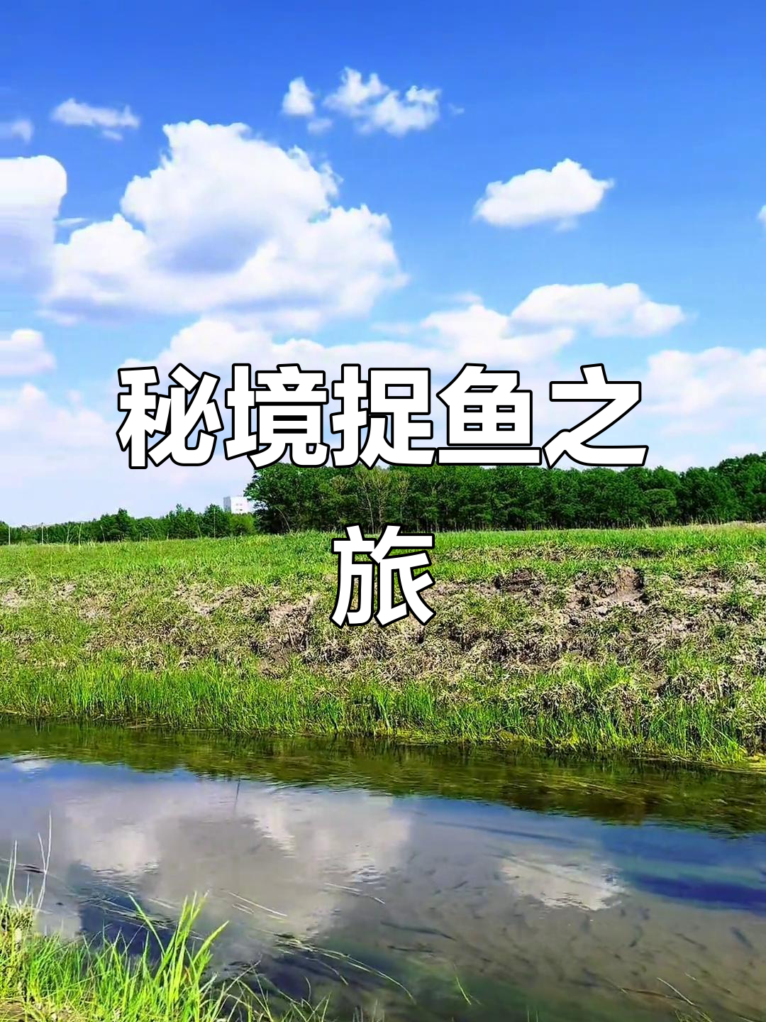 蓝天白云下,小溪旁捉鱼,绝佳秘境!